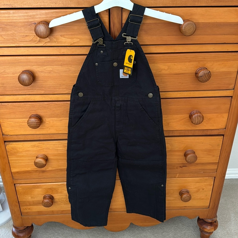 Carhartt canvas insulated bib overall black